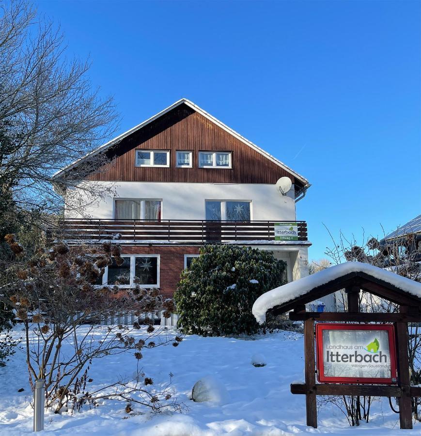 Landhaus Am Itterbach Willingen Willingen  Exterior photo